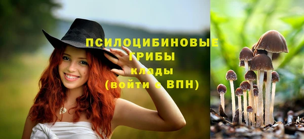 Альфа ПВП Алексеевка
