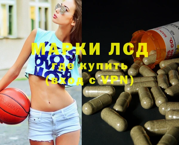 ГАЛЛЮЦИНОГЕННЫЕ ГРИБЫ Алзамай