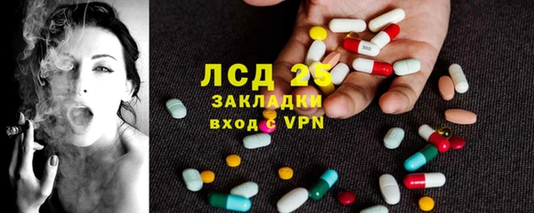 индика Алексин