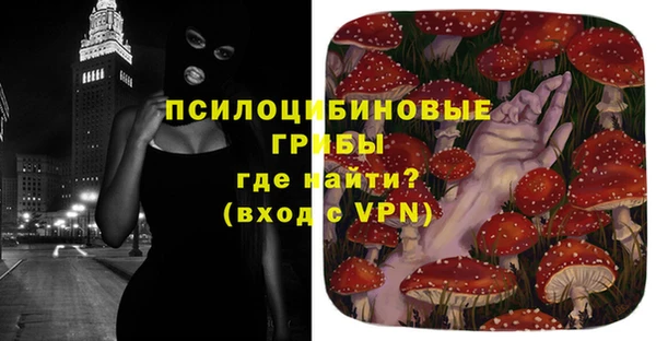 индика Алексин