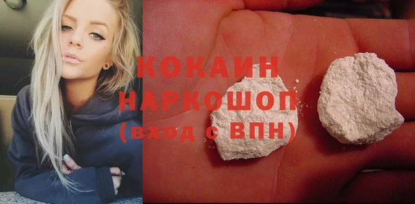 индика Алексин