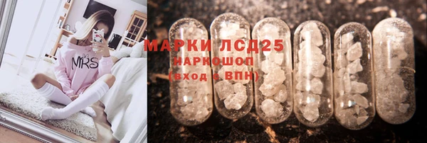 индика Алексин