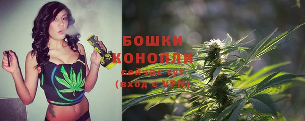 шишки Абдулино