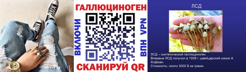 darknet телеграм  блэк спрут зеркало  Псилоцибиновые грибы Psilocybe  Углегорск  наркошоп 